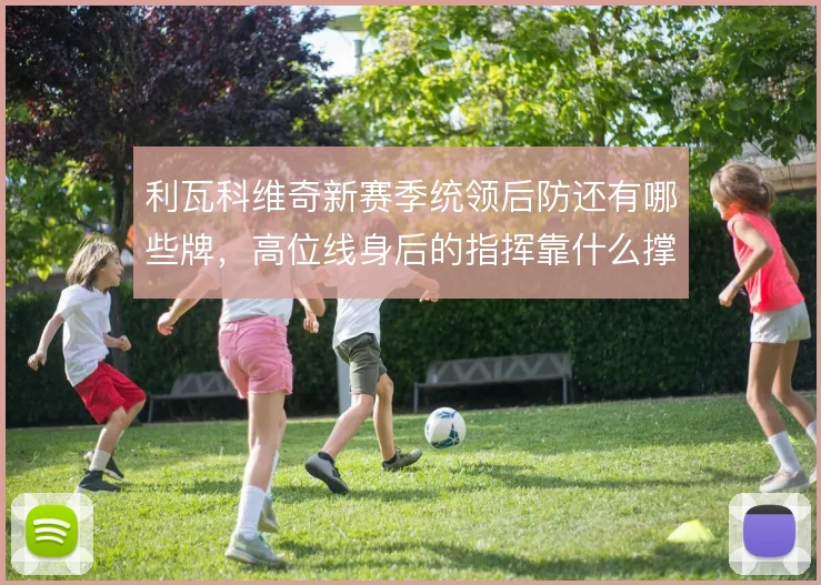 利瓦科维奇新赛季统领后防还有哪些牌，高位线身后的指挥靠什么撑
